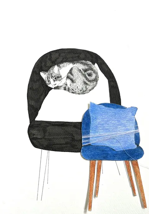 The Cat and The armchair. Eva Dmitrenko