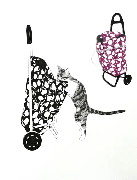The Cat and the shopping trolley. Eva Dmitrenko