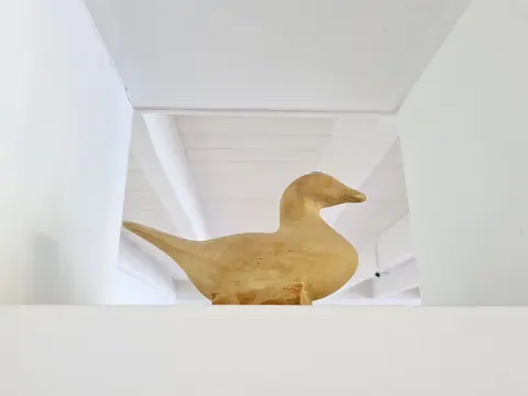 Exposition Zoia's Ark