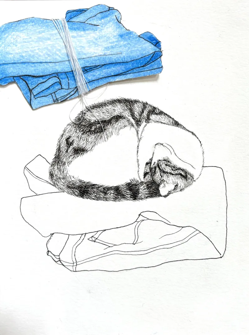 The Cat and The clothes. Eva Dmitrenko