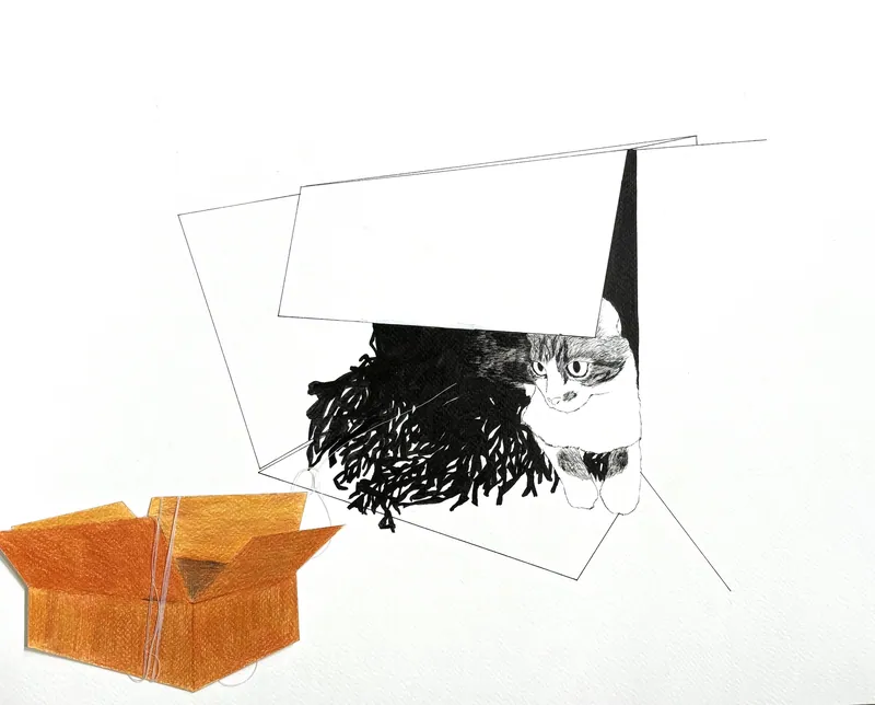 The Cat and The box. Eva Dmitrenko