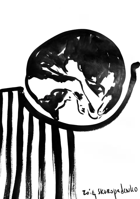 The Cat in a basket. Zoia SKOROPADENKO