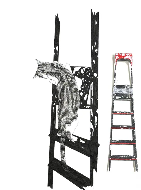 The Cat and The Ladded. Eva Dmitrenko