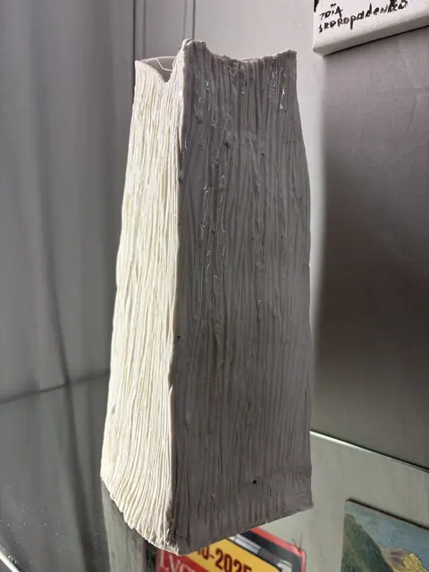 Vase. By Ania Pavis Guillaume