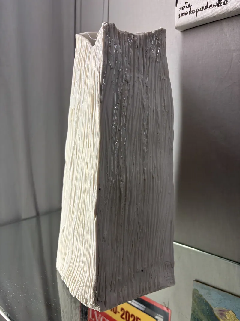 Vase. By Ania Pavis Guillaume