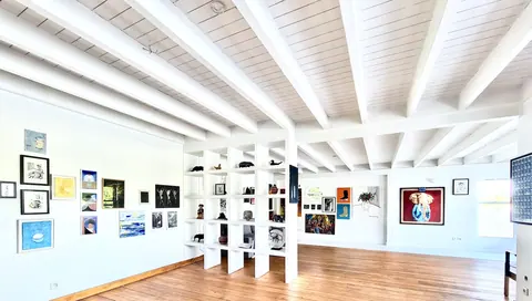 Exposition Zoia's Ark