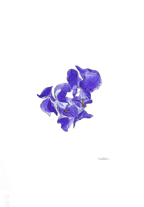 EVA DMITRENKO. IRIS (BOUQUET)