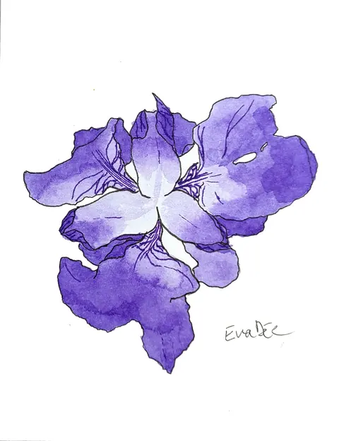 EVA DMITRENKO. IRIS (PETIT)
