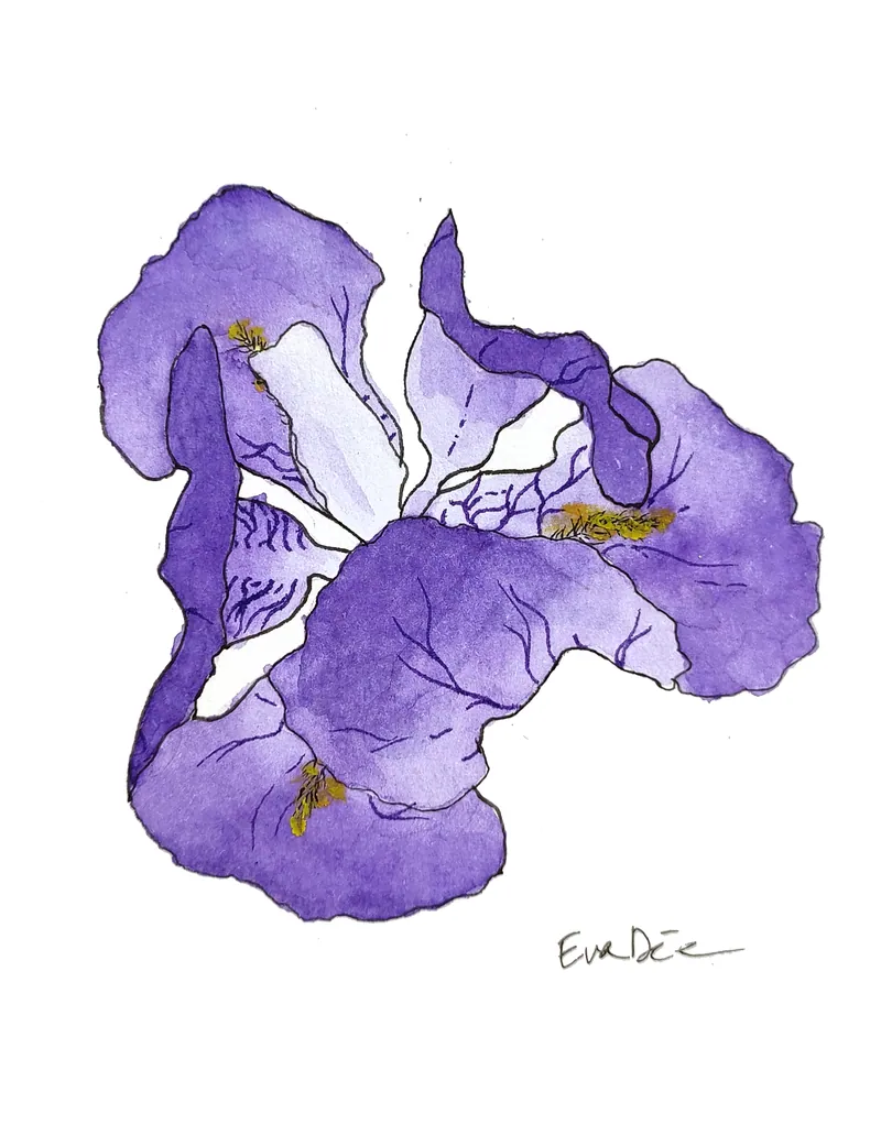 EVA DMITRENKO. IRIS (PETIT)